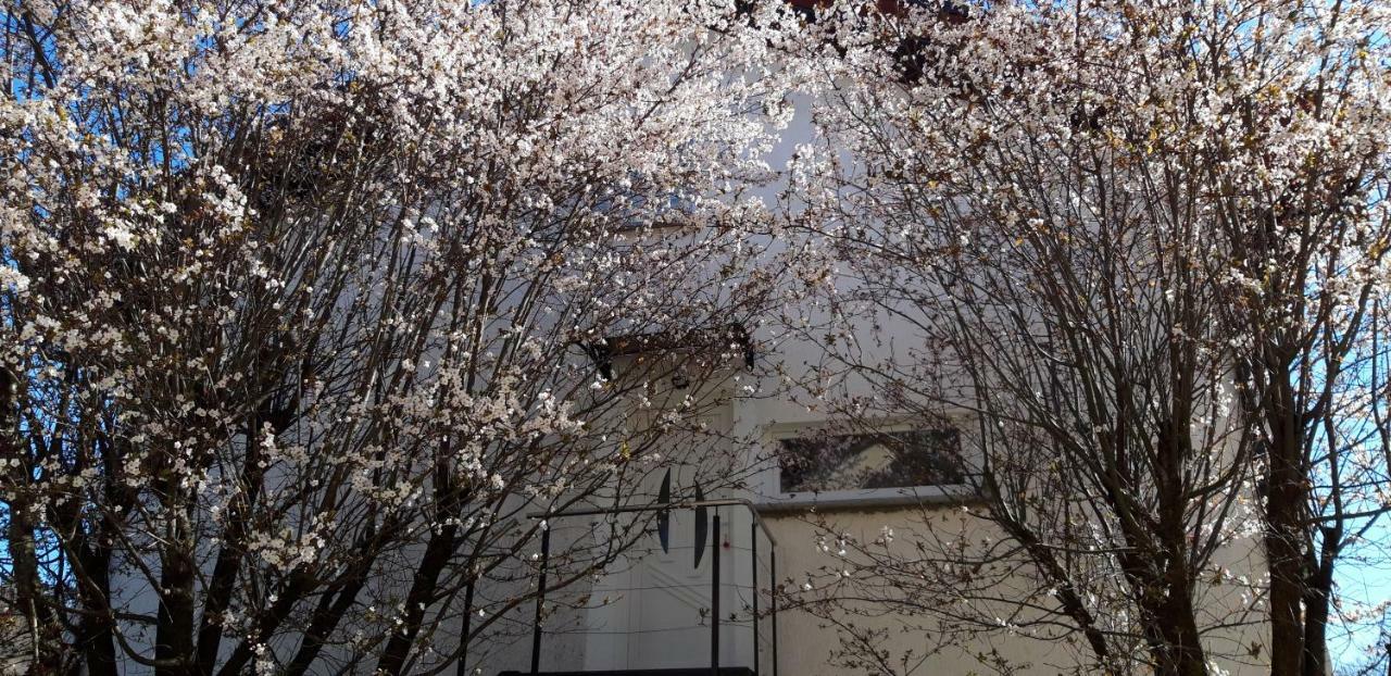 Apartmán Apple Tree Záhřeb Exteriér fotografie