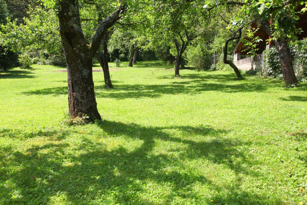 Apartmán Apple Tree Záhřeb Exteriér fotografie
