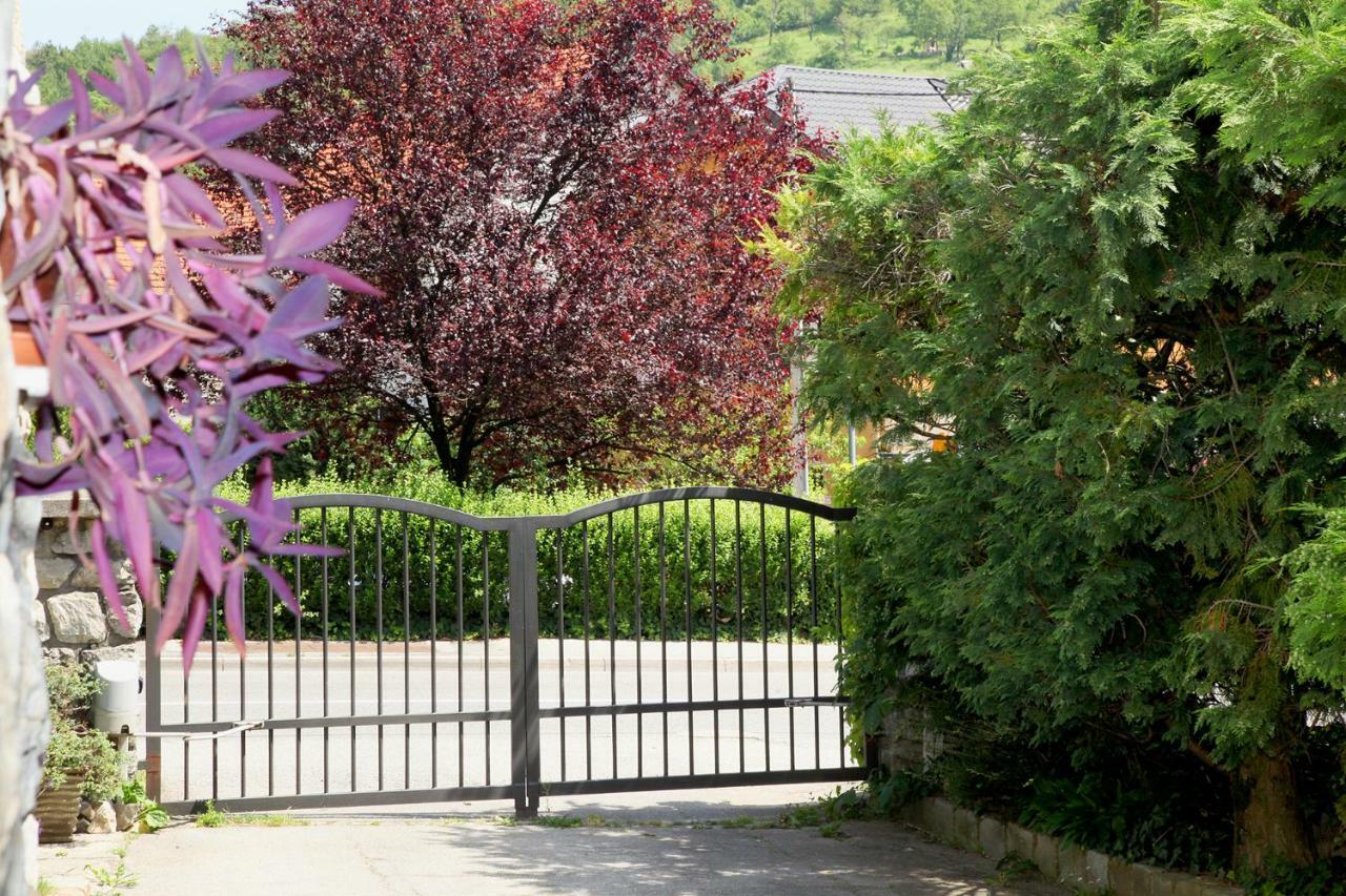 Apartmán Apple Tree Záhřeb Exteriér fotografie
