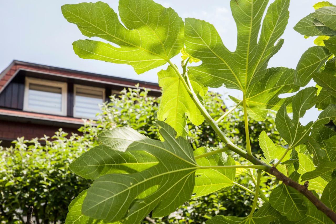 Apartmán Apple Tree Záhřeb Exteriér fotografie