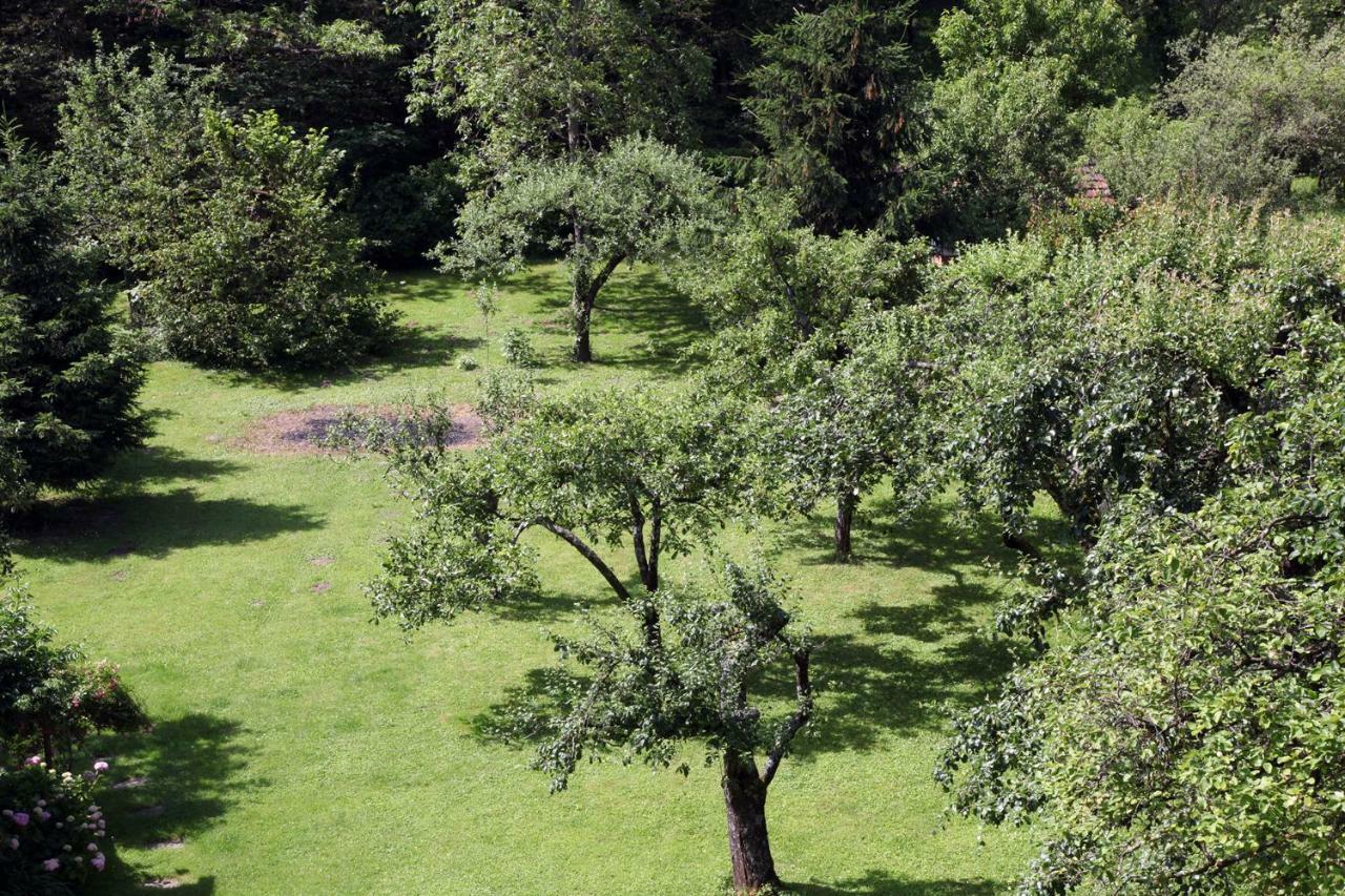 Apartmán Apple Tree Záhřeb Exteriér fotografie